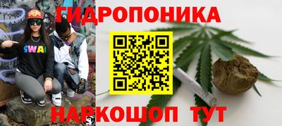 ECSTASY Рыбинск