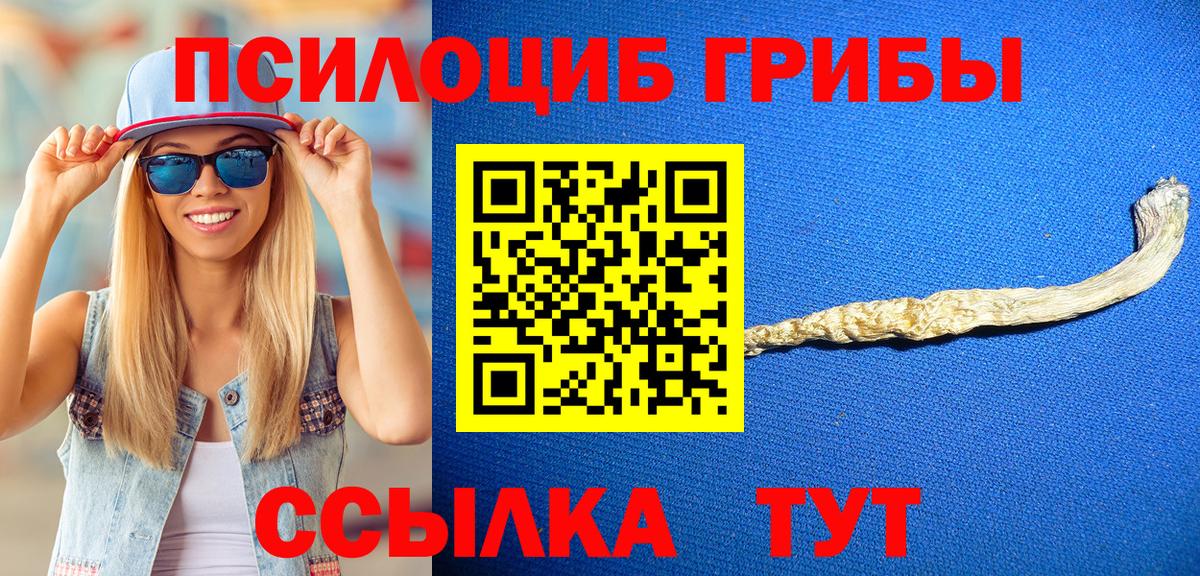 Псилоцибиновые грибы GOLDEN TEACHER Белогорск