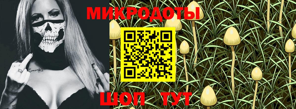 даркнет сайт  Вход с VPN  Белогорск  Галлюциногенные грибы Psilocybe 